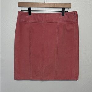 Ann Taylor Dusty Rose Skirt